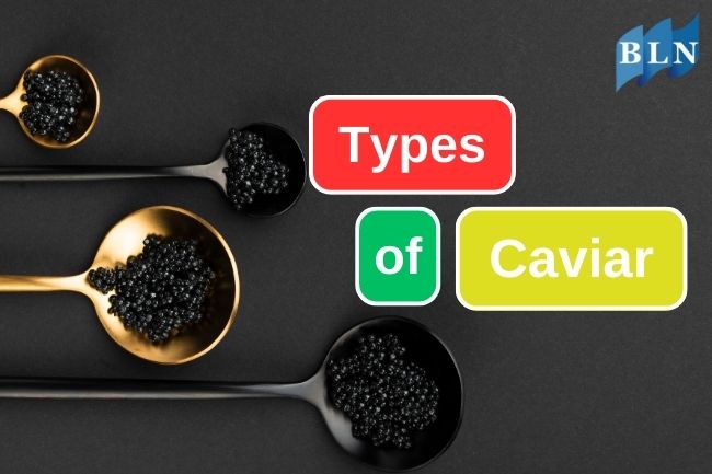 6 Caviar Types from Sturgeon